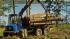 Macchine forestali Forwarder Rottne F 18