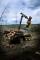 Macchine forestali Forwarder Ponsse Gazelle