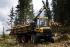 Macchine forestali Forwarder Ponsse Gazelle