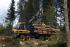 Macchine forestali Forwarder Ponsse Gazelle