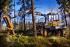 Macchine forestali Forwarder Ponsse Wisent