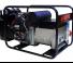 Generatori Generatori a benzina Europower EP13500TE (S)