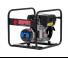 Generatori Generatori diesel Europower EP3000D (MA)