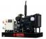 Generatori Generatori diesel Europower EP44TDE (LS)