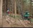 Macchine forestali Harvester forestali Neuson Forest 103HV