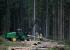 Macchine forestali Harvester forestali John Deere 1270 E IT4