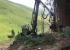 Macchine forestali Harvester forestali John Deere 1270 E IT4