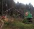 Macchine forestali Harvester forestali Neuson Forest 183HVT