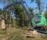 Macchine forestali Harvester forestali Neuson Forest 243HV