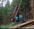 Macchine forestali Harvester forestali Neuson Forest 243HVT