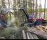 Macchine forestali Harvester forestali Komatsu 951
