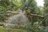 Macchine forestali Harvester forestali Ponsse Bear