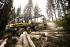 Macchine forestali Harvester forestali Ponsse Bear