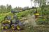 Macchine forestali Harvester forestali Ponsse Bear