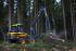 Macchine forestali Harvester forestali Ponsse Beaver