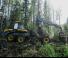Macchine forestali Harvester forestali Ponsse Cobra
