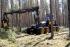 Macchine forestali Harvester forestali Ponsse Ergo