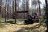 Macchine forestali Harvester forestali Ponsse Ergo