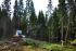 Macchine forestali Harvester forestali Ponsse Ergo