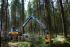 Macchine forestali Harvester forestali Ponsse Fox