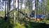Macchine forestali Harvester forestali Rottne H 11