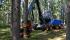Macchine forestali Harvester forestali Rottne H 11