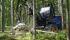 Macchine forestali Harvester forestali Rottne H 8 B
