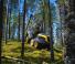 Macchine forestali Harvester forestali Ponsse Scorpion