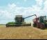 Mietitrebbie Fendt 5255 L MCS Rice