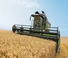 Mietitrebbie Fendt 6335 C 