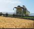 Mietitrebbie Fendt 6335 C-PL 