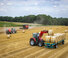 Mietitrebbie Massey Ferguson Activa 7343