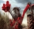 Mietitrebbie Case IH Astoft 9900 DA