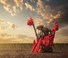 Mietitrebbie Case IH Austoft 9900