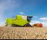 Mietitrebbie Claas Avero 160