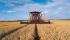 Mietitrebbie Case IH Axial Flow 6088