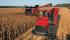 Mietitrebbie Case IH Axial Flow 8120
