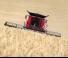 Case IH Axial Flow 8250