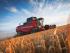 Mietitrebbie Massey Ferguson Beta 7370
