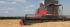 Mietitrebbie Massey Ferguson Centora 7382