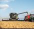 Mietitrebbie Fendt Corus 522 