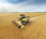 Mietitrebbie New Holland CX6.80