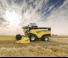 Mietitrebbie New Holland CX6.80