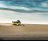 Mietitrebbie New Holland CX6.80
