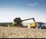 Mietitrebbie New Holland CX6.80