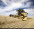 Mietitrebbie New Holland CX6.80