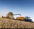 Mietitrebbie New Holland CX8.90 Elevation