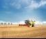 Mietitrebbie Claas Dominator 260
