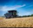 Mietitrebbie Massey Ferguson Ideal 9 T