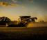 Mietitrebbie Massey Ferguson Ideal 9 T